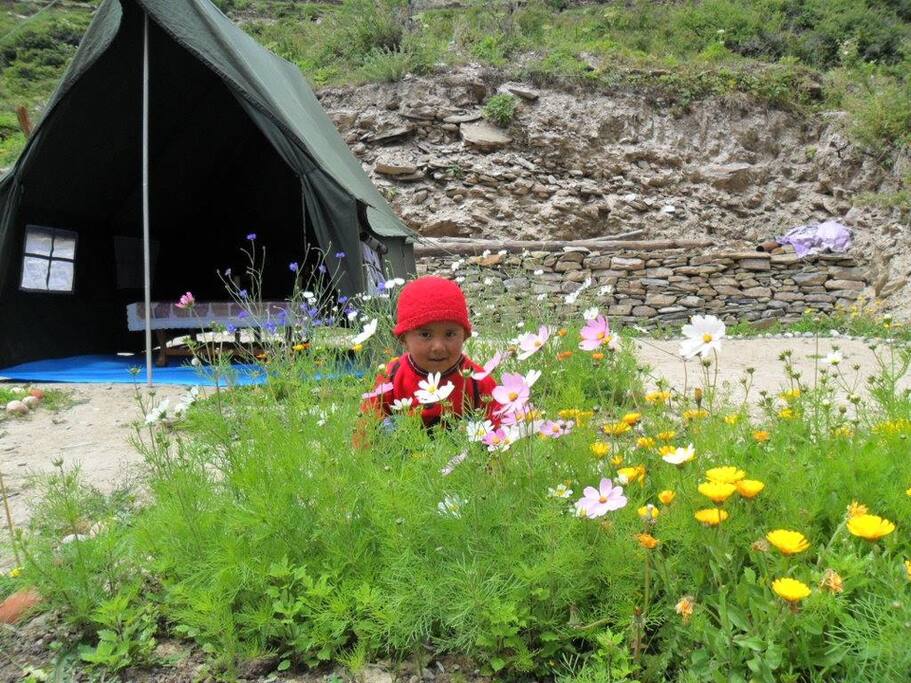 Campsite