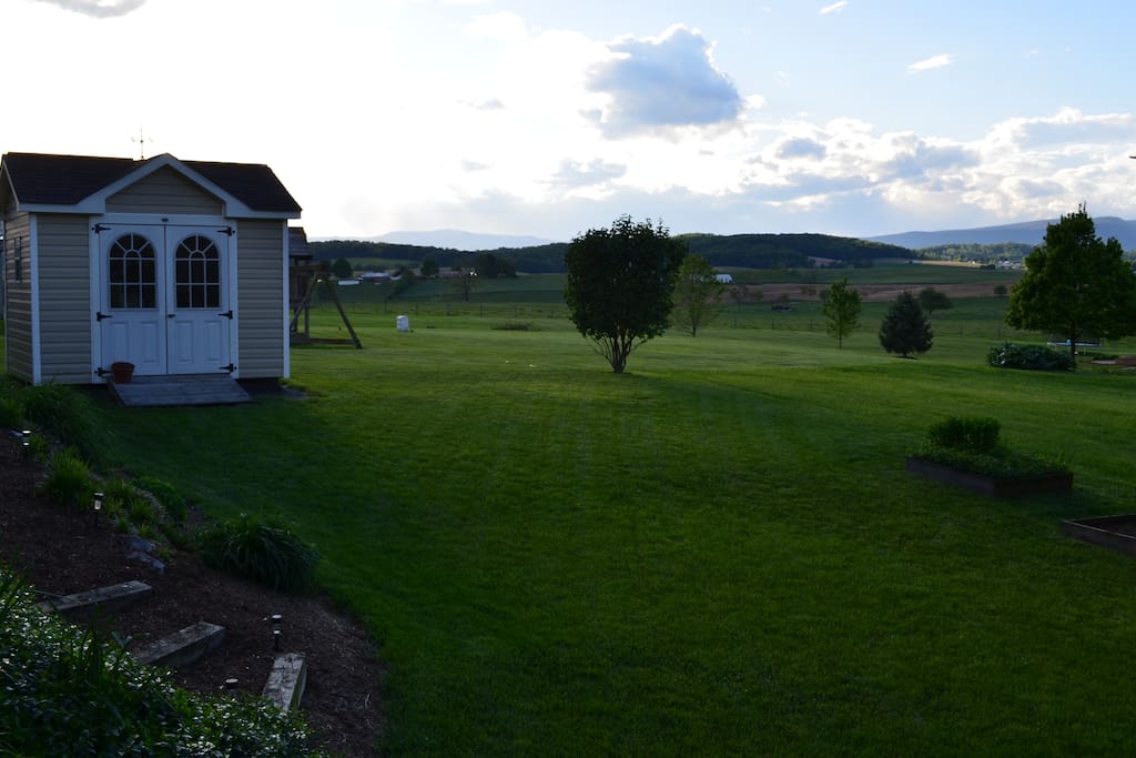 Evening view
