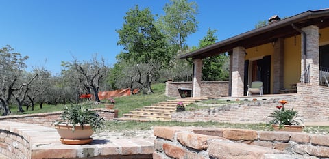 Il Capanno.......where relaxation reigns.