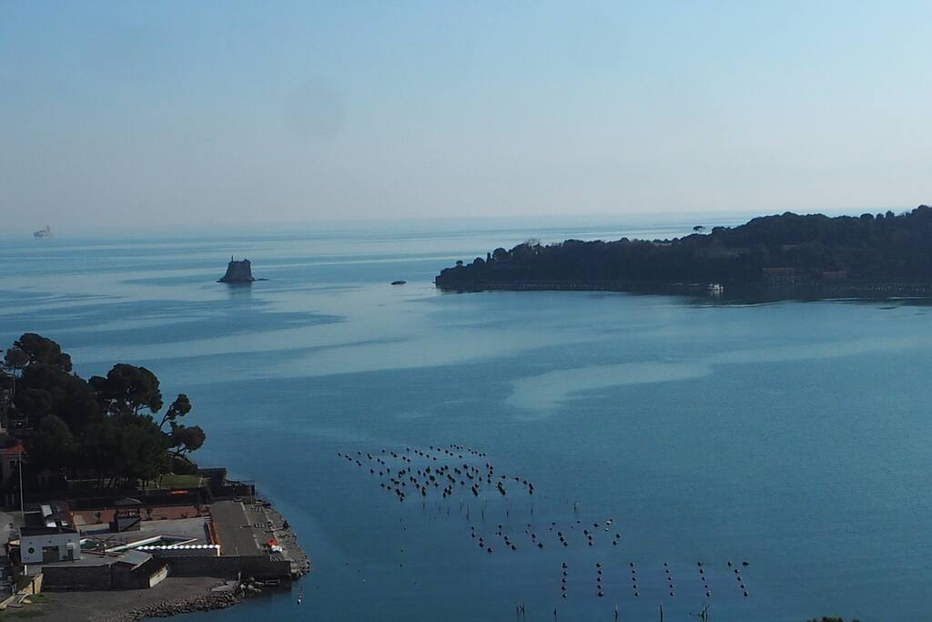 vista giardino