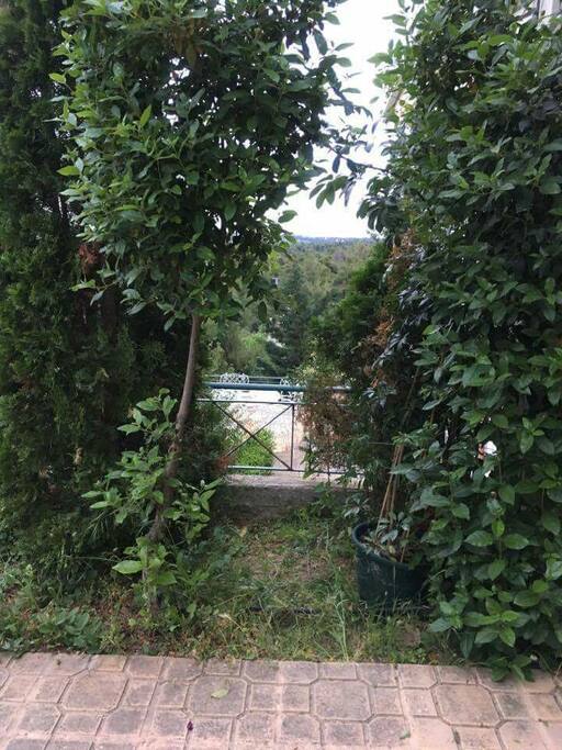 θέα από τον κήπο όπου μπορείτε να έχετε το πρωινό σας