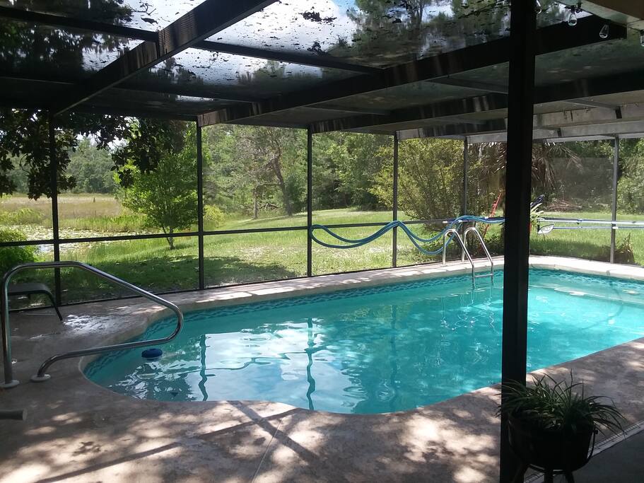 Pool in screen porch with view of the pond and woods in back yard