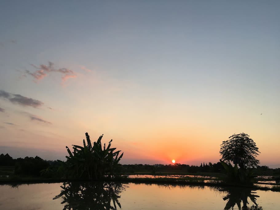 sunset