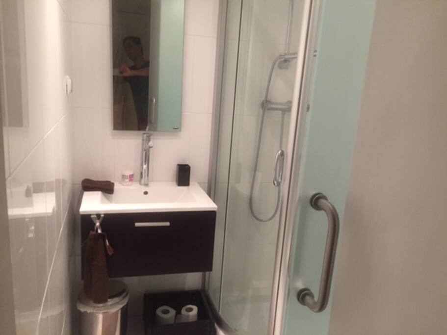Private Bathroom in the Bedroom