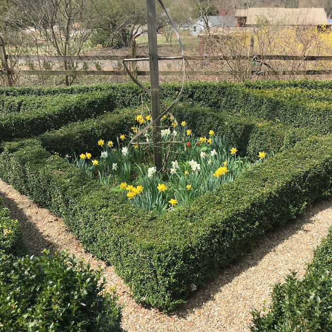 The French maze in the spring...