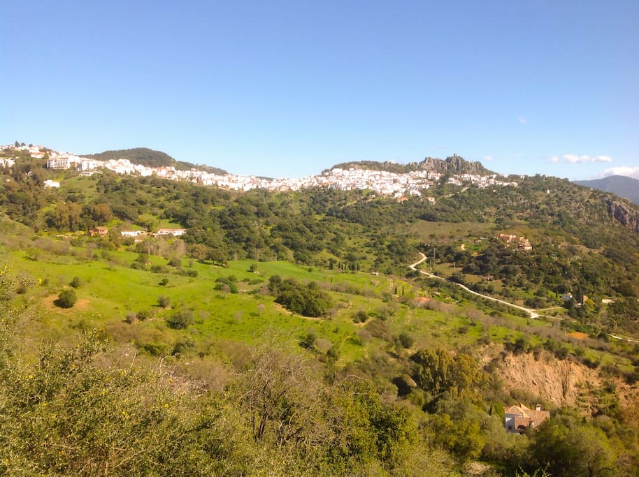 Gaucin