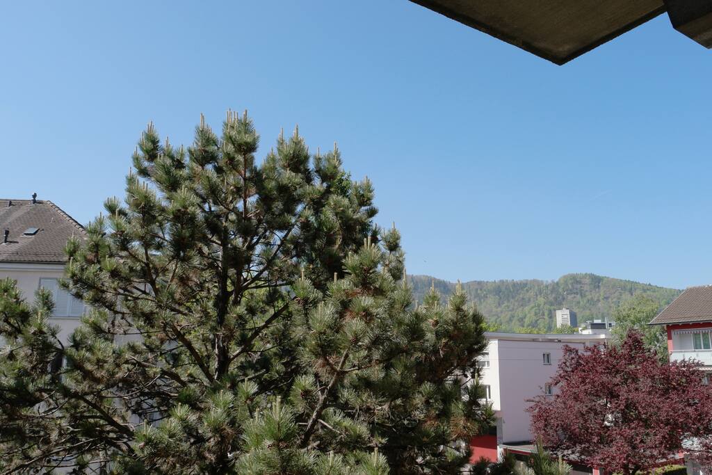 View from out the balcony