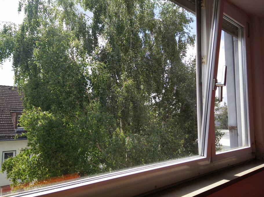 View of the Window in the living room :).