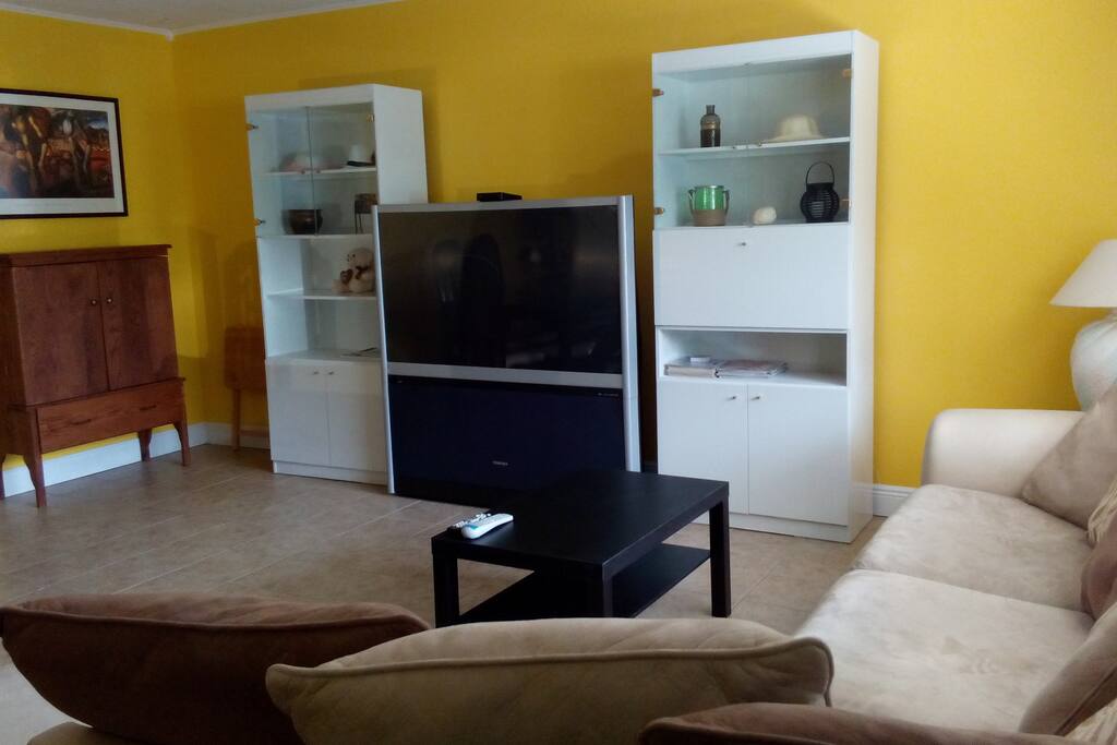 spacious living room,sofa seat 5 people,57inch tv,