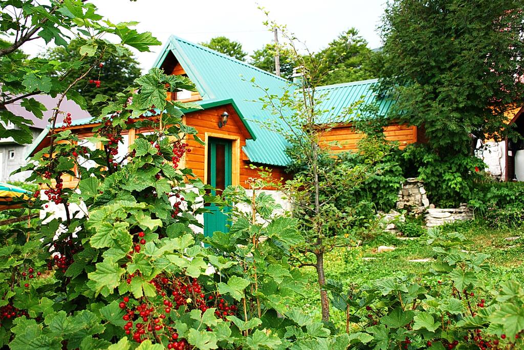 Log cabin