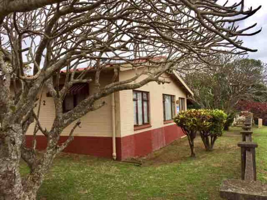 Back garden