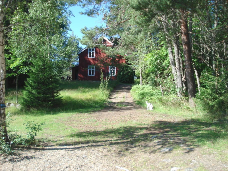 huset set fra søen / the house from lake