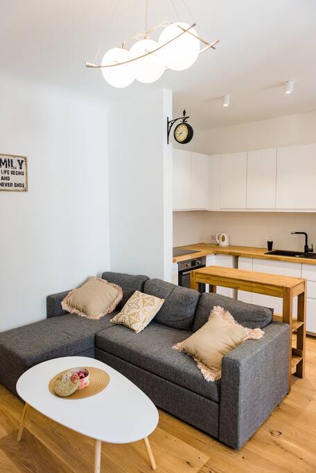 Studio living room with a sofa bed and the kitchen in the back.