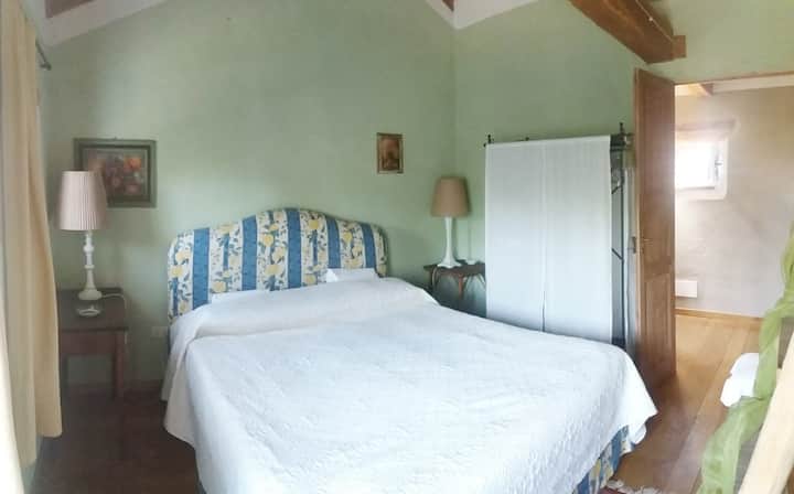 คาเมร่าเวร์ดี