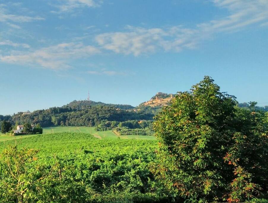 View of Bertinoro