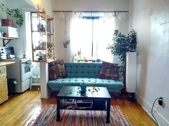 Cozy open space Mile-End Apartment
