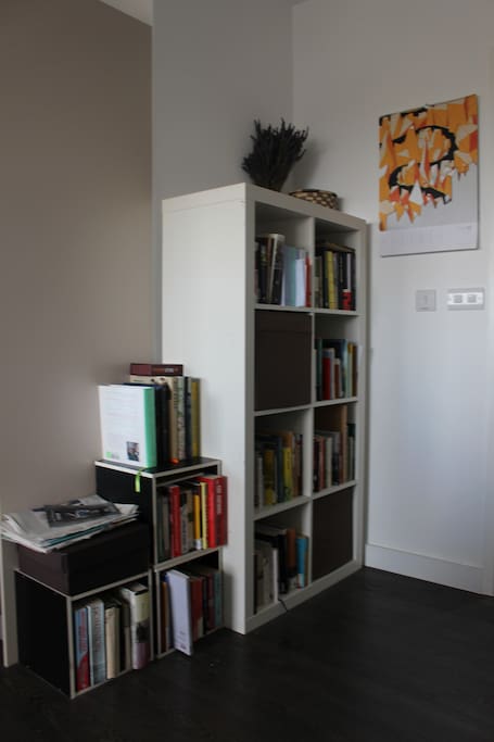 Bookshelf in the living room