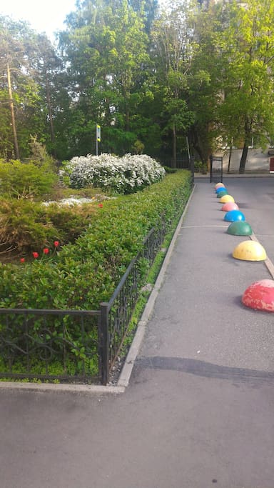 Зелень и цветы у подъезда