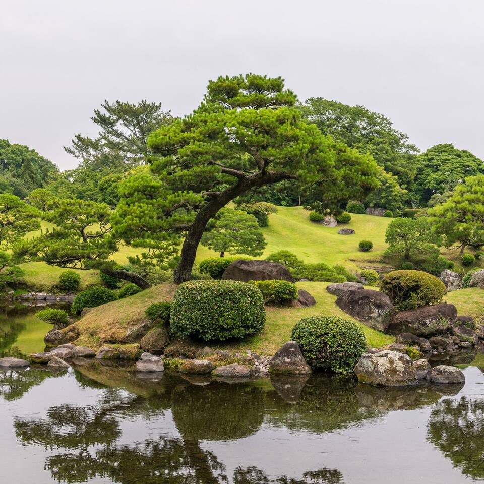 这座公园是微缩的日本全景 熊本旅游攻略 尽在airbnb爱彼迎