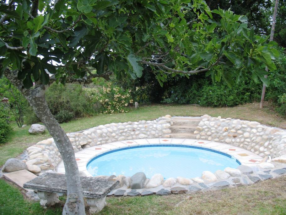 Plunge pool