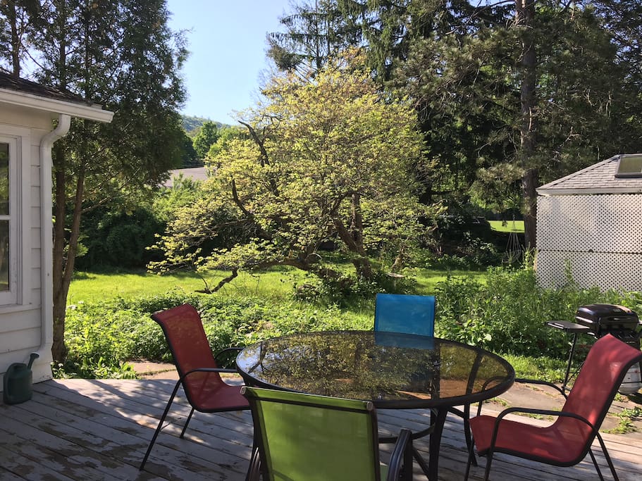 Wonderful back yard with deck , gas grill and plenty of seating