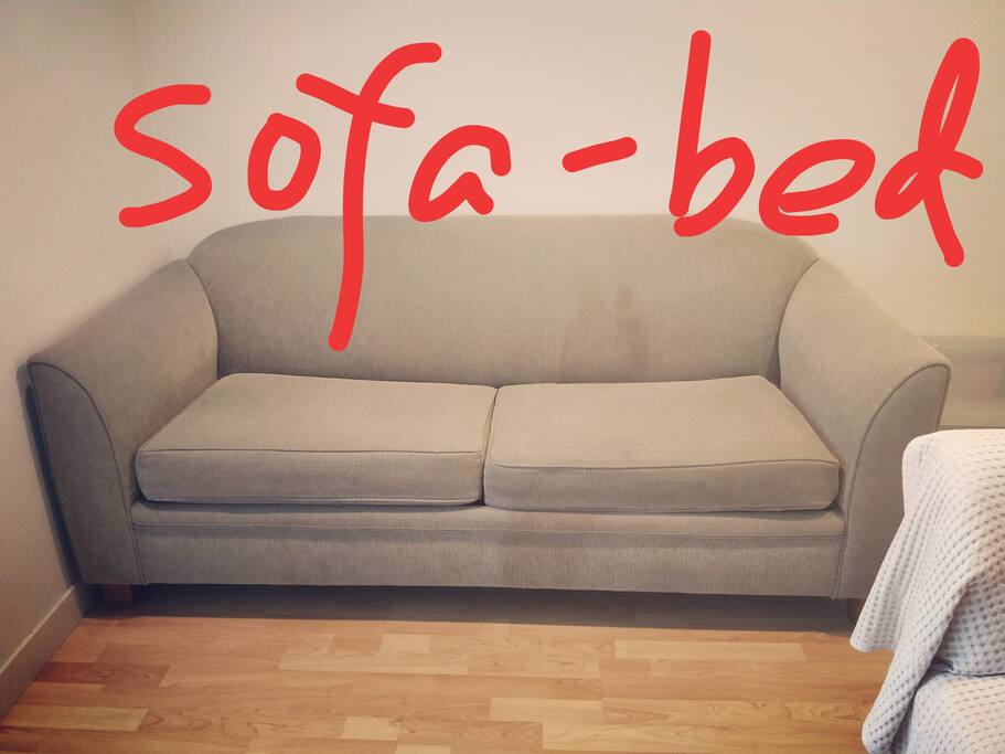 pull-out bed