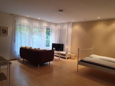 Cozy in-law apartment within walking distance of the spa gardens