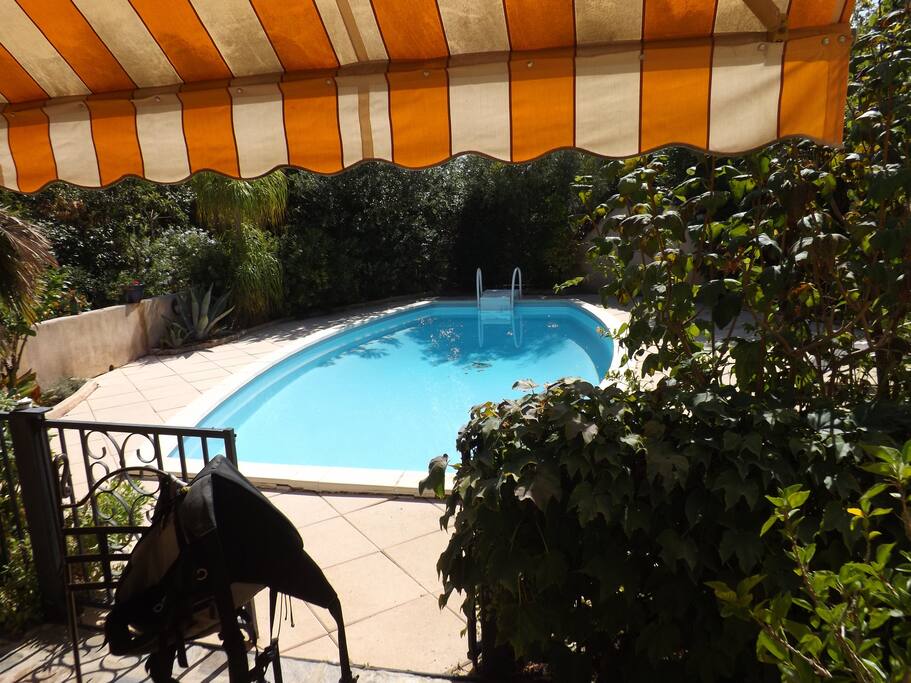 Vue sur la piscine