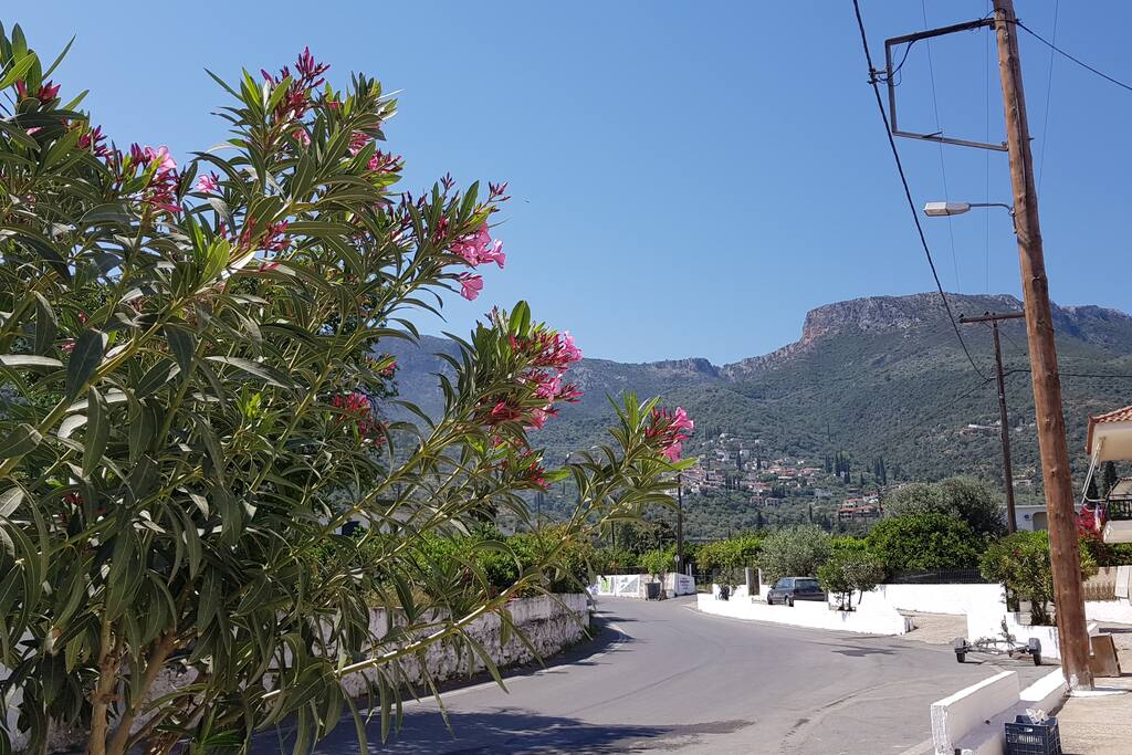 The mountain view