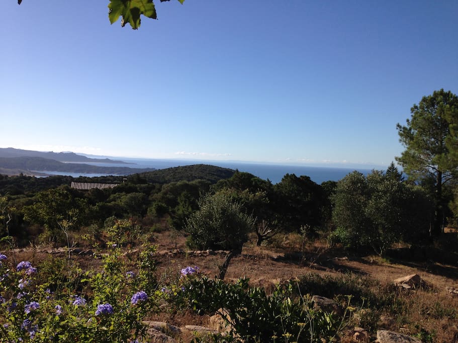 Vue vers le sud depuis la terrasse