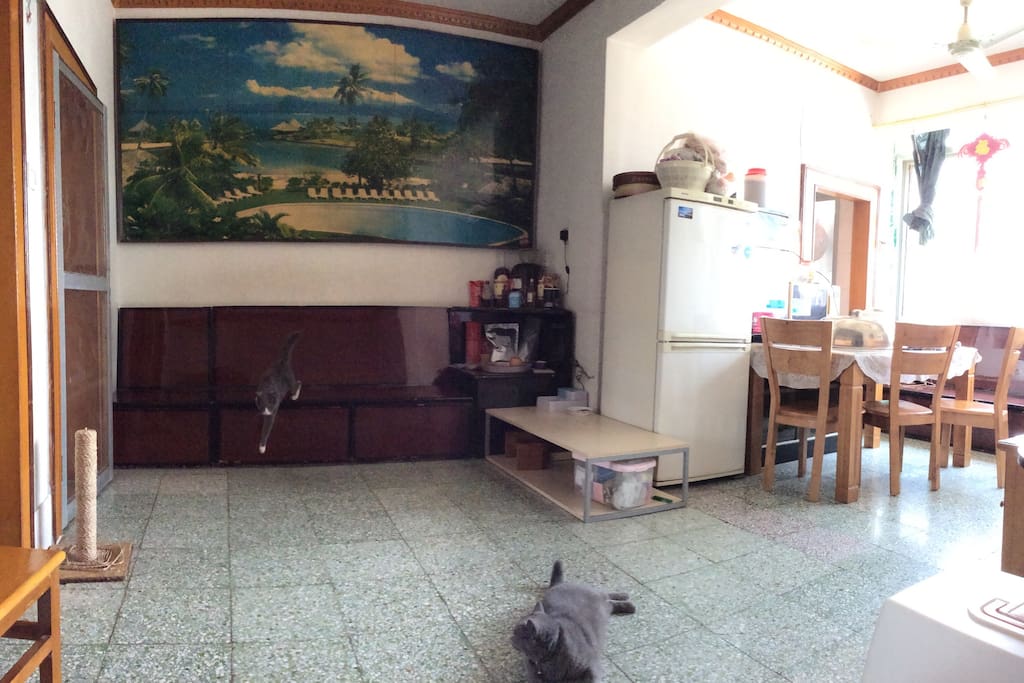 The the living room and the dining hall
