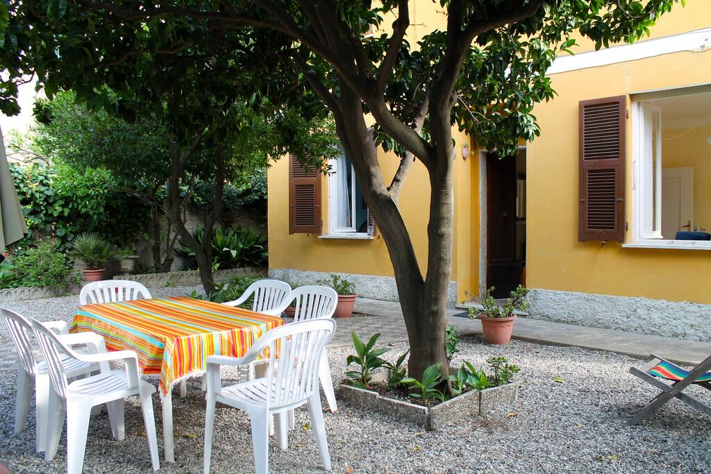 Garden