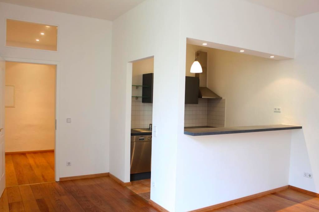 Open Kitchen (and living room)