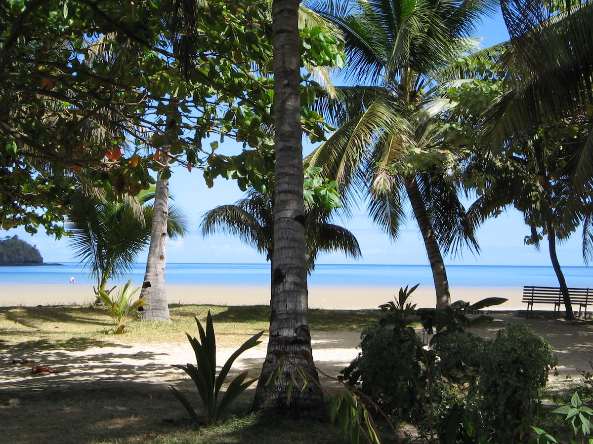 A serene beachfront view is framed by lush palm trees and tropical foliage. The calm sea stretches into the distance, meeting a sandy shore. A wooden bench is positioned on the beach, providing a tranquil spot to enjoy the surroundings.