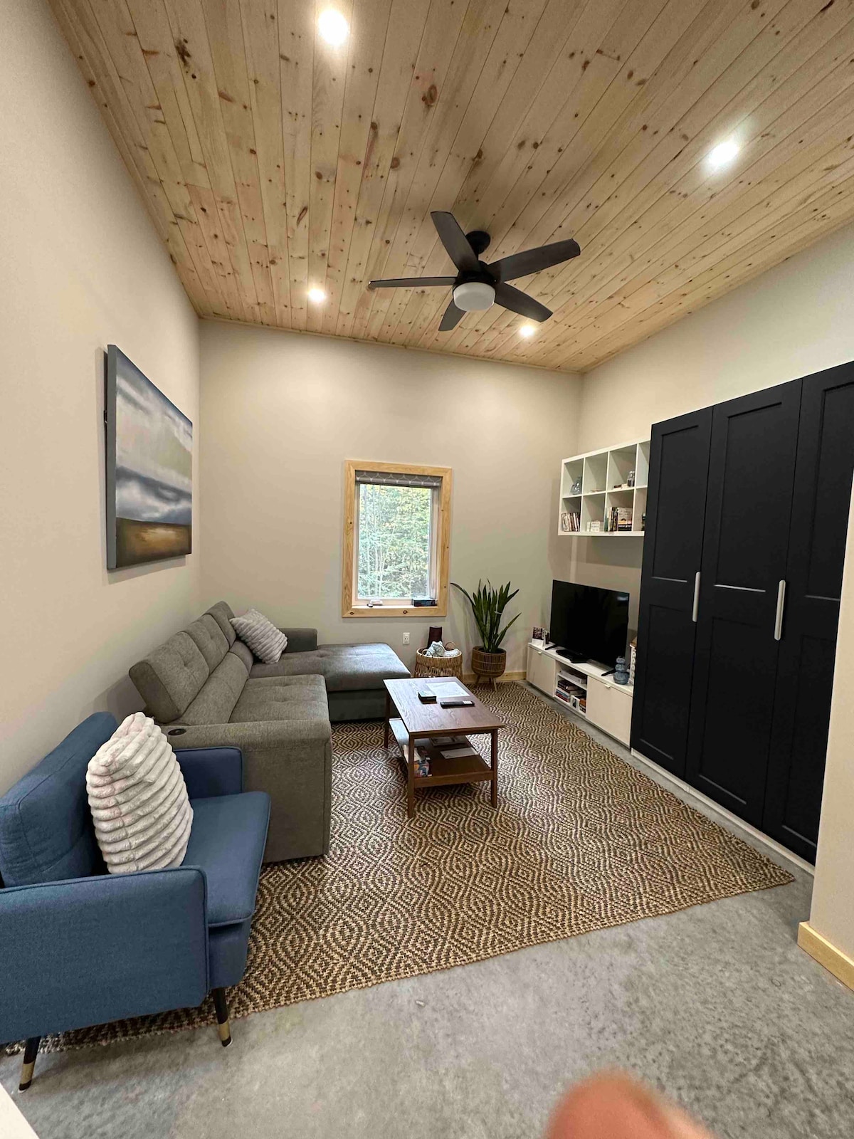 Მისაღები ოთახის სივრცე - ტელევიზორი, DVD, თამაშები, თავსატეხები, Netflix თქვენი სიამოვნებისთვის