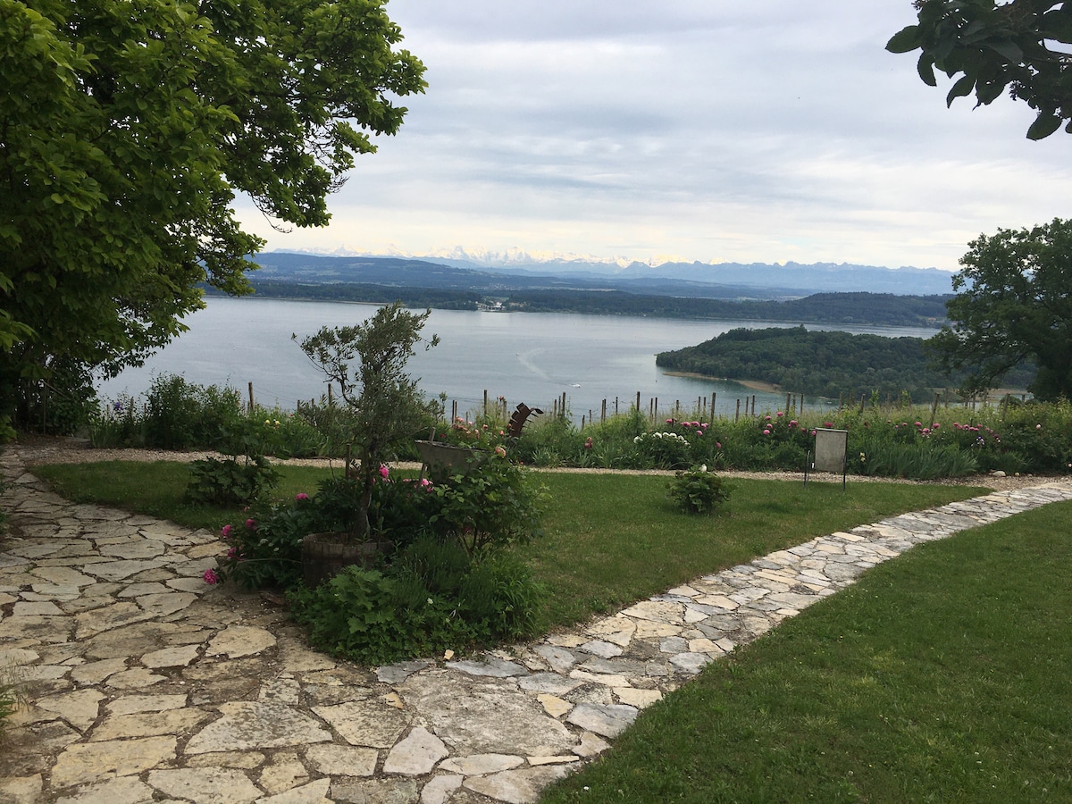 Above Lake Biel, live like Dürrenmatt Apartments for Rent in Ligerz