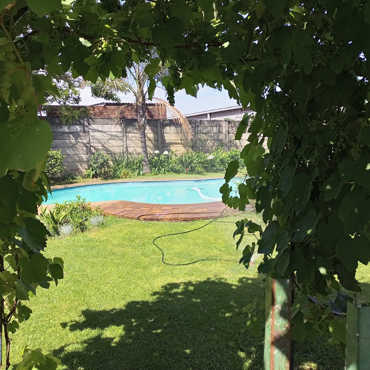 A serene view of a swimming pool is captured through a lush tree canopy, with vibrant green grass surrounding the area. The pool reflects the sky and is bordered by a wooden deck, creating an inviting outdoor space for relaxation.