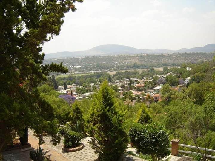 A panoramic view of a scenic landscape is captured, showing rolling hills and a lush valley dotted with trees and residential structures. The foreground features well-maintained greenery, including various shrubs and small trees, framed by distant mountains under a partially cloudy sky.