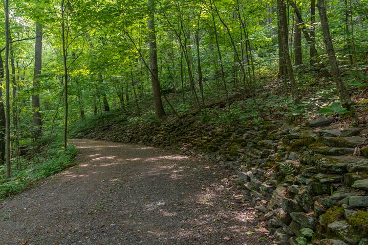 The Woodland House Mountain Retreat gallery image 3