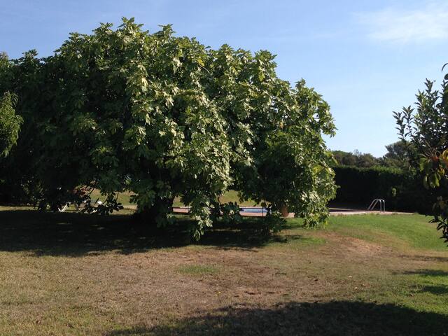Masía en la Costa Brava gallery image 4