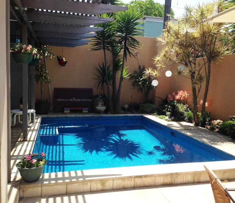 Backyard pool
