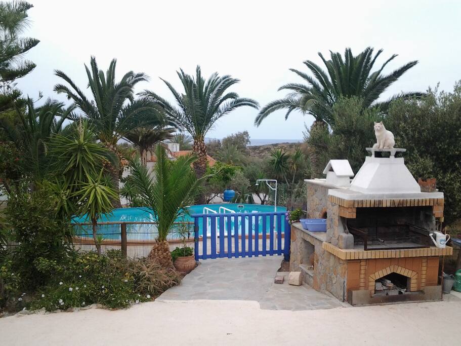 Piscine, Barbecue
