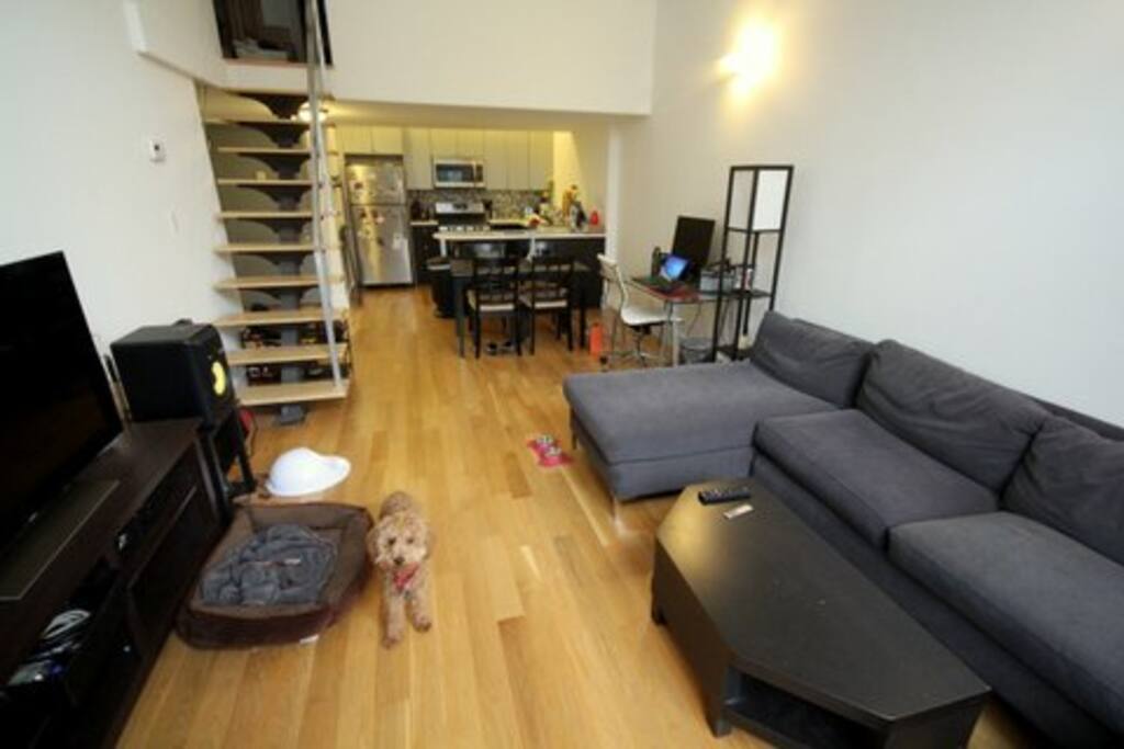 Living room from window