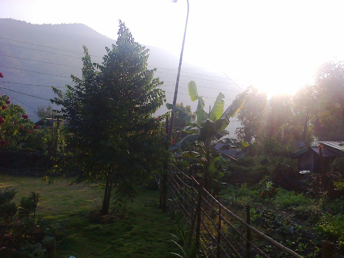 A view of the lush front lawn features a variety of trees including a banana plant and flowering shrubs. The background displays rolling hills partially shrouded in a gentle morning mist, and a wooden fence outlines the area, creating a serene setting.