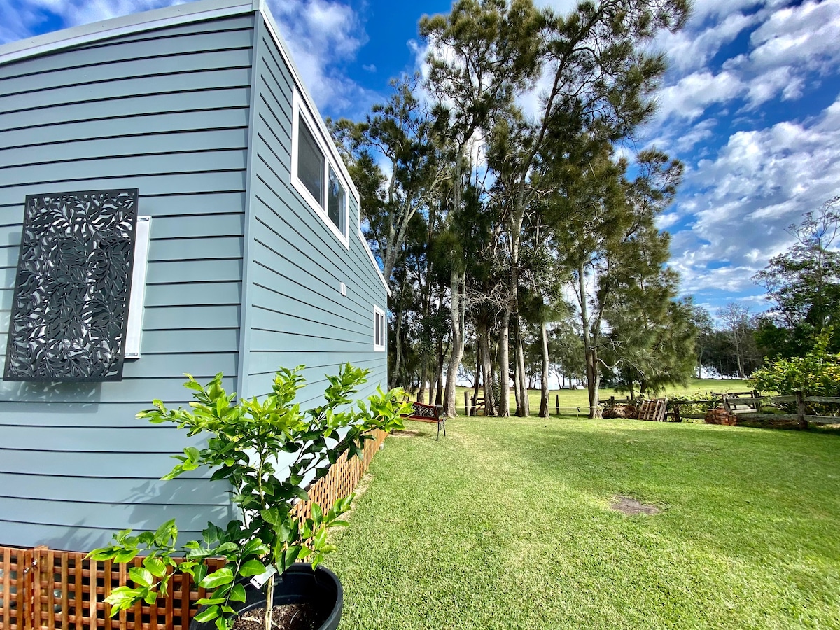 A side view of the modern tiny home reveals a blue exterior, framed by lush greenery and trees. A landscaped area features a small shrub in front and seating arrangements on the grass, providing a serene outdoor space.