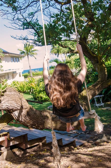 Swinging from a native Hawaiian Tree watching the waves roll