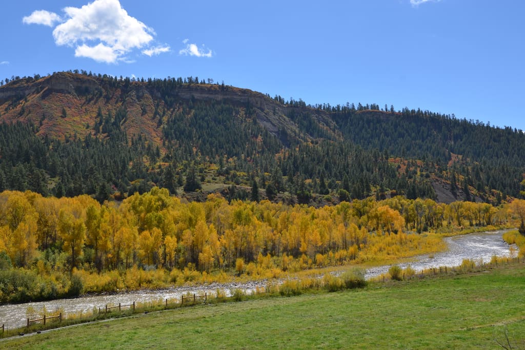 San Juan River fall colors