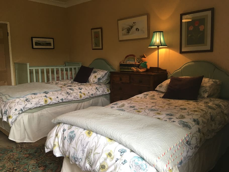 Twin beds with cot