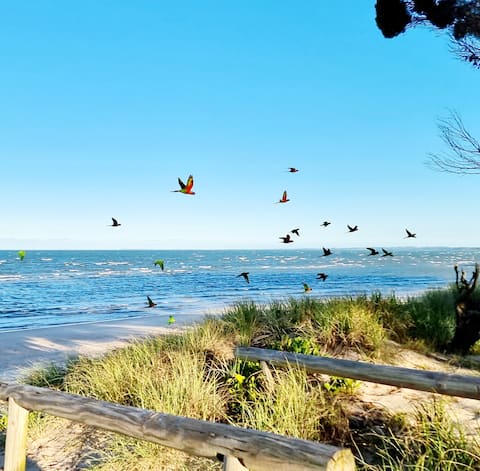 Casa La Pier , dog friendly, seaside , beach close