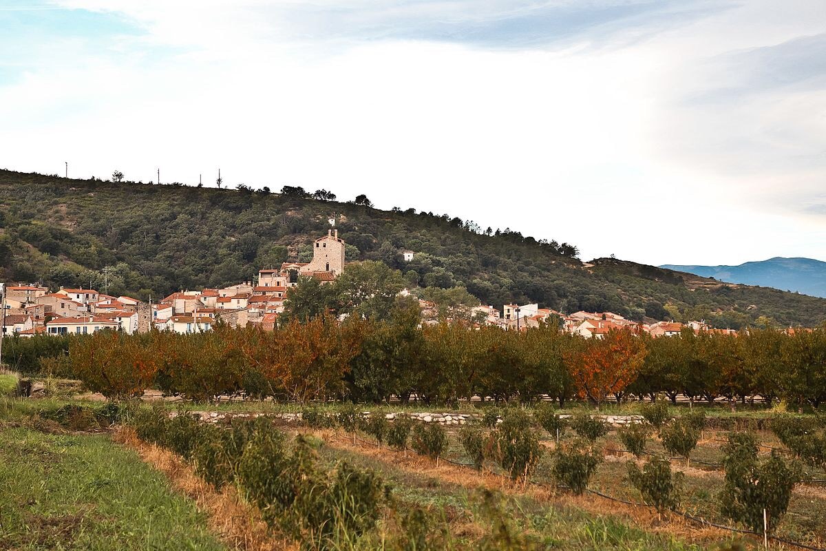 A panoramic view captures the village perched on a hillside, featuring rustic buildings with terracotta roofs and a prominent tower. In the foreground, rows of peach trees showcase green foliage transitioning to autumn hues, set against a backdrop of rolling hills and a cloudy sky.